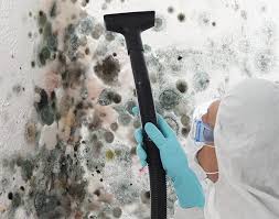 Best Mold Odor Removal Services in Bartonsville, MD